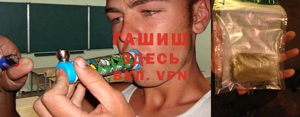 мет Алексин