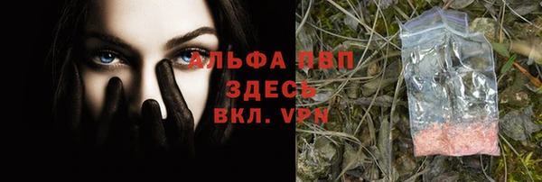 амф Дмитриев