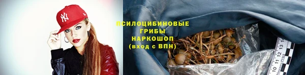 мет Алексин