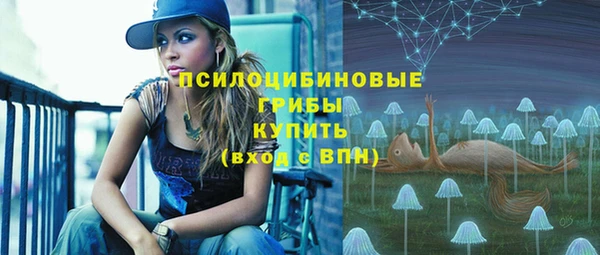 молекула духа Алзамай