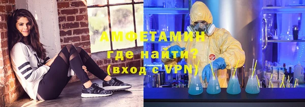 мет Алексин