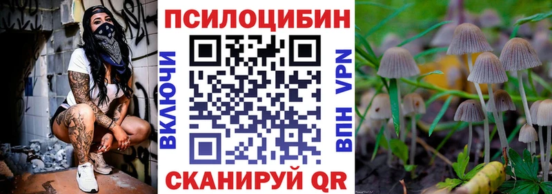 ссылка на мегу зеркало  Павлово  Галлюциногенные грибы MAGIC MUSHROOMS 